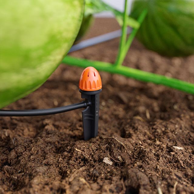 Claber Der Gemüsegarten 1. Auswahlmöglichkeit