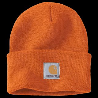 Carhartt Cargo Arbeitshose steel Marmalade OS