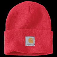 Carhartt Cargo Arbeitshose steel Bittersweet OS