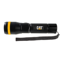 Fokussierbare LED-Taschenlampe Cat, 300 Lumen