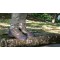 HAIX Jagdstiefel NATURE CAMO GTX 206320