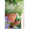 Prosperplast Blumentopf AGRO Terrakotta 16 cm