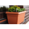 Prosperplast Blumenkasten BALCONY CAN