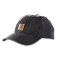 Carhartt Mütze odessa cap OS