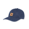 Carhartt Mütze odessa cap OS