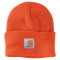 Carhartt Mütze watch hat